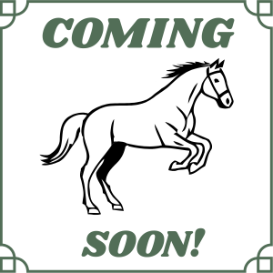 The New Owner’s Roadmap: Your Step-by-Step Guide to Buying, Bringing Home, and Caring for Your First Horse